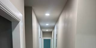 darwin's room