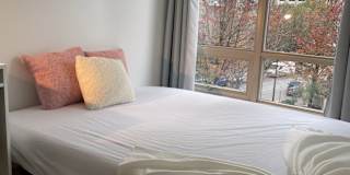 Van House's room