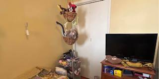 Dani's room