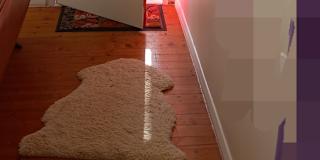 Sarcha's room