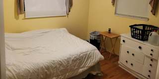 David's room