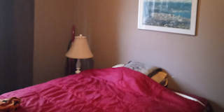 Steve LePage's room
