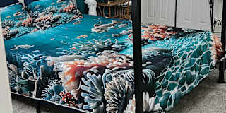 Teri's room