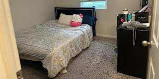 Sahar Sina's room
