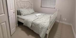 Shivya's room