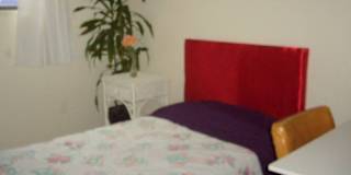 Gregory McCay's room