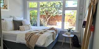 Shaye's room
