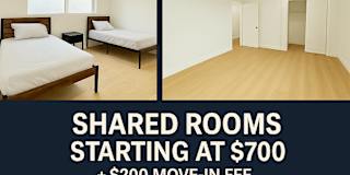 Austin's room