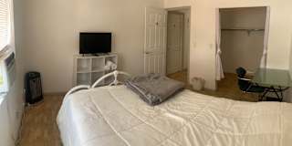 Student Housing's room
