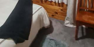 Shirley's room