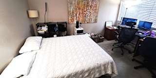 Soheyl's room