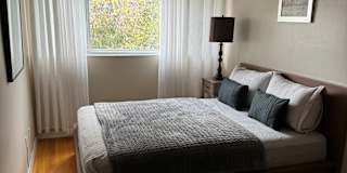 Razvan's room
