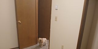 Lois's room