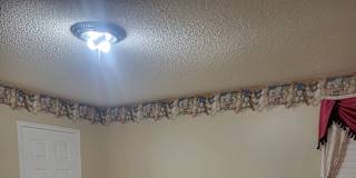 David's room