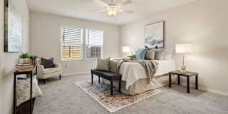 Gayani's room