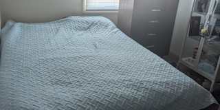 Misti's room
