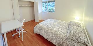 Shirin's room