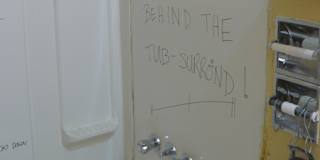 Miss Renee K. Taylor--French Degree--Cleaner--Would-Be Student--Mad for Theatre and Science--Wants to help resolve an unconfirmed Crime's room