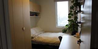 Maya's room