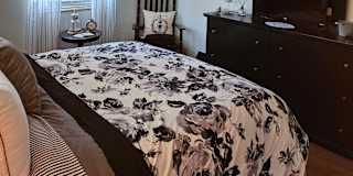 Renee's room