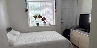 Stefan's room