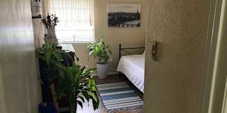 Robert's room