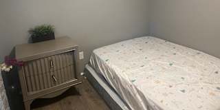 Mitshe Totaan's room