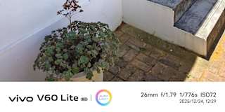 Leslie's room