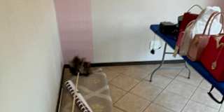 Siphesihle Zuma's room