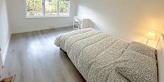 Shirin's room