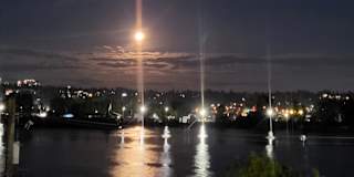 Shirley-anne Elmourne's room