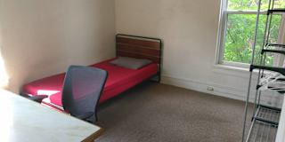 Zed's room