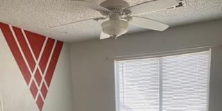 Shauna's room
