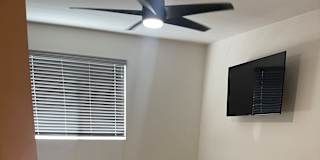 Rose's room