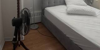 Mark Romuar's room