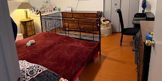 Negin's room