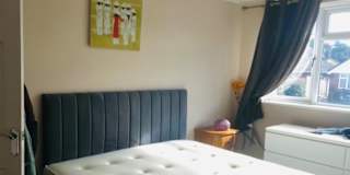 Amy's room