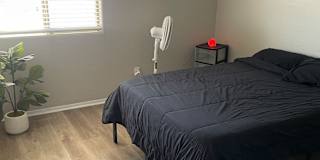 Lia Homes's room