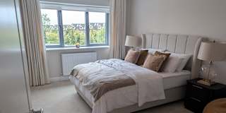 Shane's room