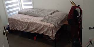 Alice's room