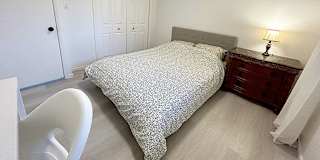 Shahram's room