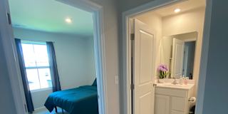 Taz's room