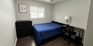 Alisa's room