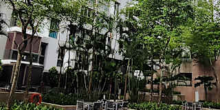 Zfy Ed's room