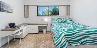 Elham's room