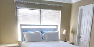 Johann's room