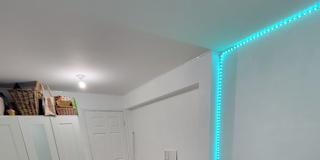 fiona ng's room