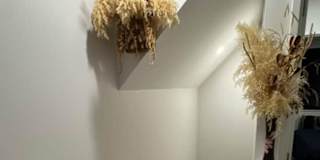 Try's room