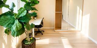 Arina Z's room