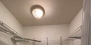 Chani's room